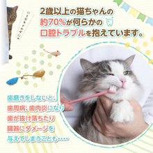 画像をギャラリービューアに読み込む, 【歯磨き嫌いでも遊びながらデンタルケア】猫 おもちゃ ねずみ ひとり遊び 歯磨き (3個入り)
