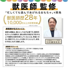 画像をギャラリービューアに読み込む, 【 獣医師監修 忙しくても遊んであげれる 】ずぼら猫じゃらし おもちゃ 羽 ねこひとり遊び 運動不足