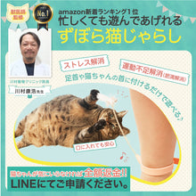 画像をギャラリービューアに読み込む, 【 獣医師監修 忙しくても遊んであげれる 】ずぼら猫じゃらし おもちゃ 羽 ねこひとり遊び 運動不足