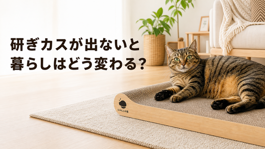 研ぎカスが出ないだけで、猫との暮らしはどう変わるのか