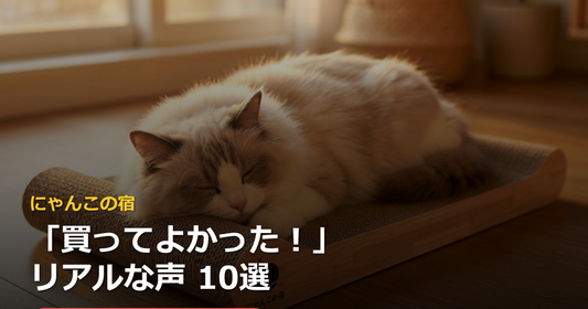 にゃんこの宿 爪とぎベッドのリアルな口コミ10選！研ぎカスが出ないって本当？