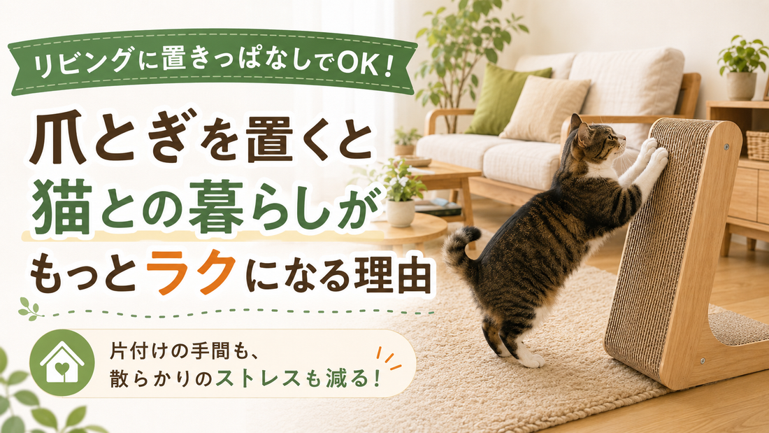 爪とぎをリビングに置きっぱなしにすると、猫との暮らしがラクになる理由