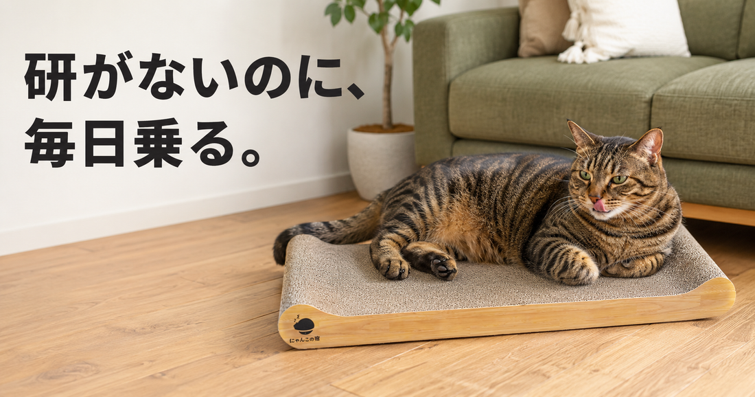 爪とぎに乗るのに、爪は研がない。それでも使っていると言える？