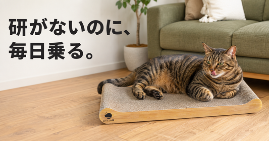 爪とぎに乗るのに、爪は研がない。それでも使っていると言える？