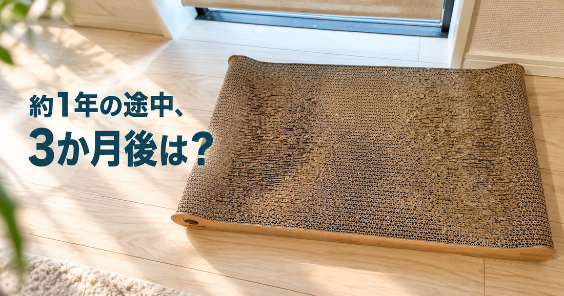 裏表で約1年使える爪とぎ。3か月たつと、どんな見た目になる？