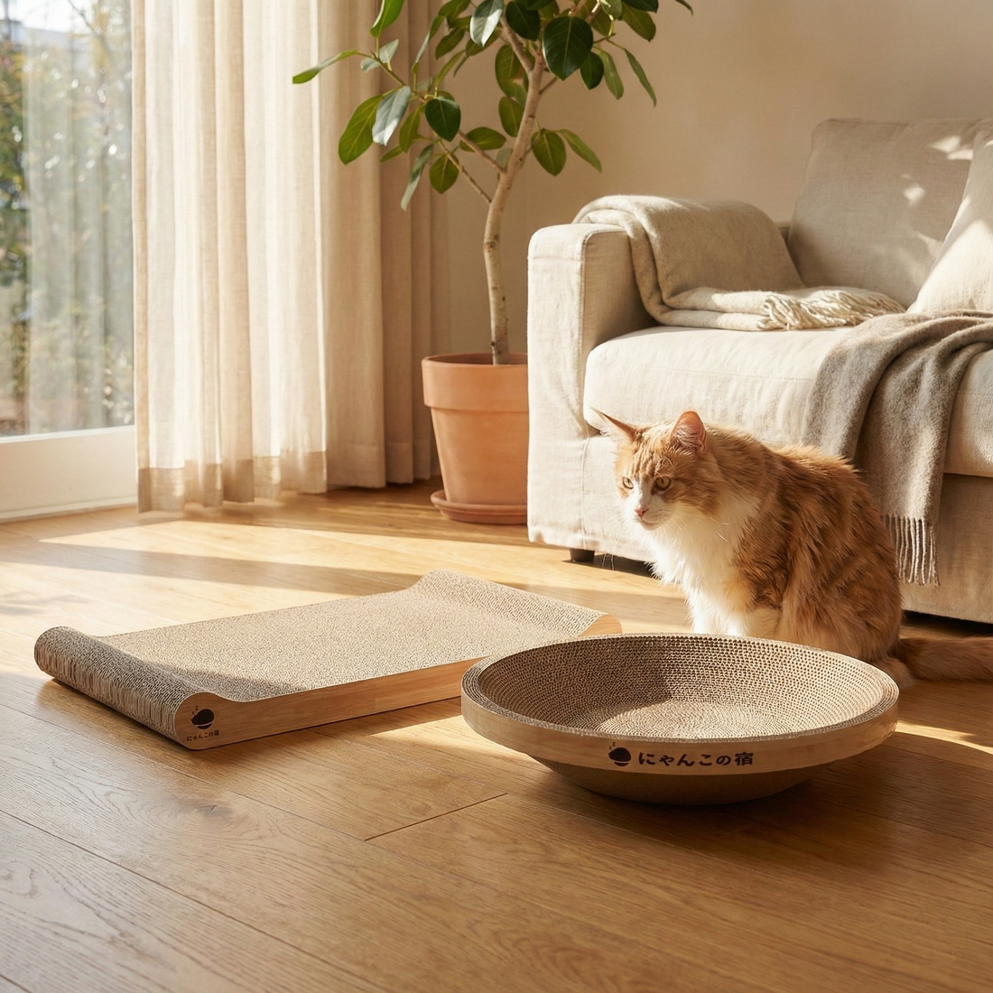 大型猫・デブ猫の爪とぎ選び。9kgの猫もすっぽり収まる大きめサイズを検証