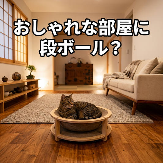 おしゃれな部屋に段ボールの爪とぎを置きたくない人へ