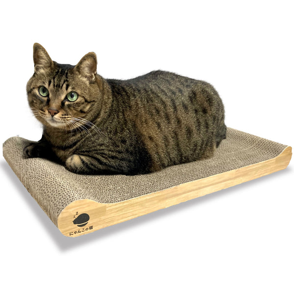 猫が爪研ぎを使わないときは・・・