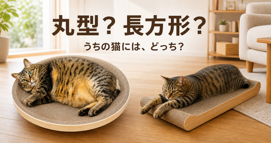 丸型と長方形、うちの猫にはどちらの爪とぎが合う？