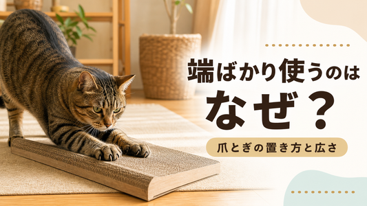 猫が爪とぎの「端ばかり」使うのは、なぜ？