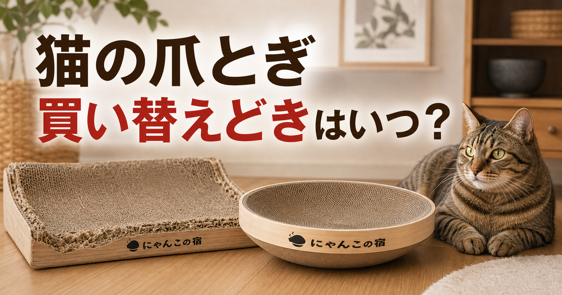 猫の爪とぎ、買い替えどきが分からない人へ