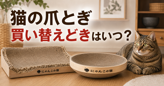 猫の爪とぎ、買い替えどきが分からない人へ