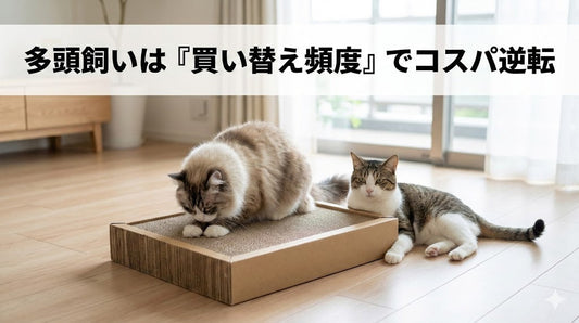 多頭飼いの爪とぎ、実は「安いほど高くつく」。買い替え頻度でコスパが逆転する話