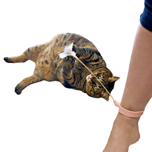 【 獣医師監修 忙しくても遊んであげれる 】ずぼら猫じゃらし おもちゃ 羽 ねこひとり遊び 運動不足