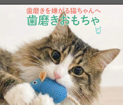 【歯磨きを嫌がる猫ちゃんへ】 猫 おもちゃ 歯磨き またたび入り ねずみ デンタルケア 噛む 口臭 ケア 対策 口腔ケア 一人遊び 歯周病 歯石 歯垢 にゃんこの宿
