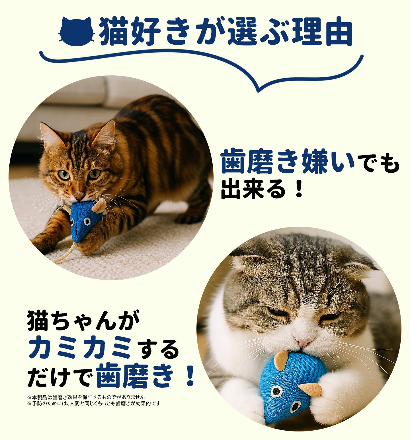 歯磨き嫌いでも遊びながらデンタルケア】猫 おもちゃ 触ると音が鳴る