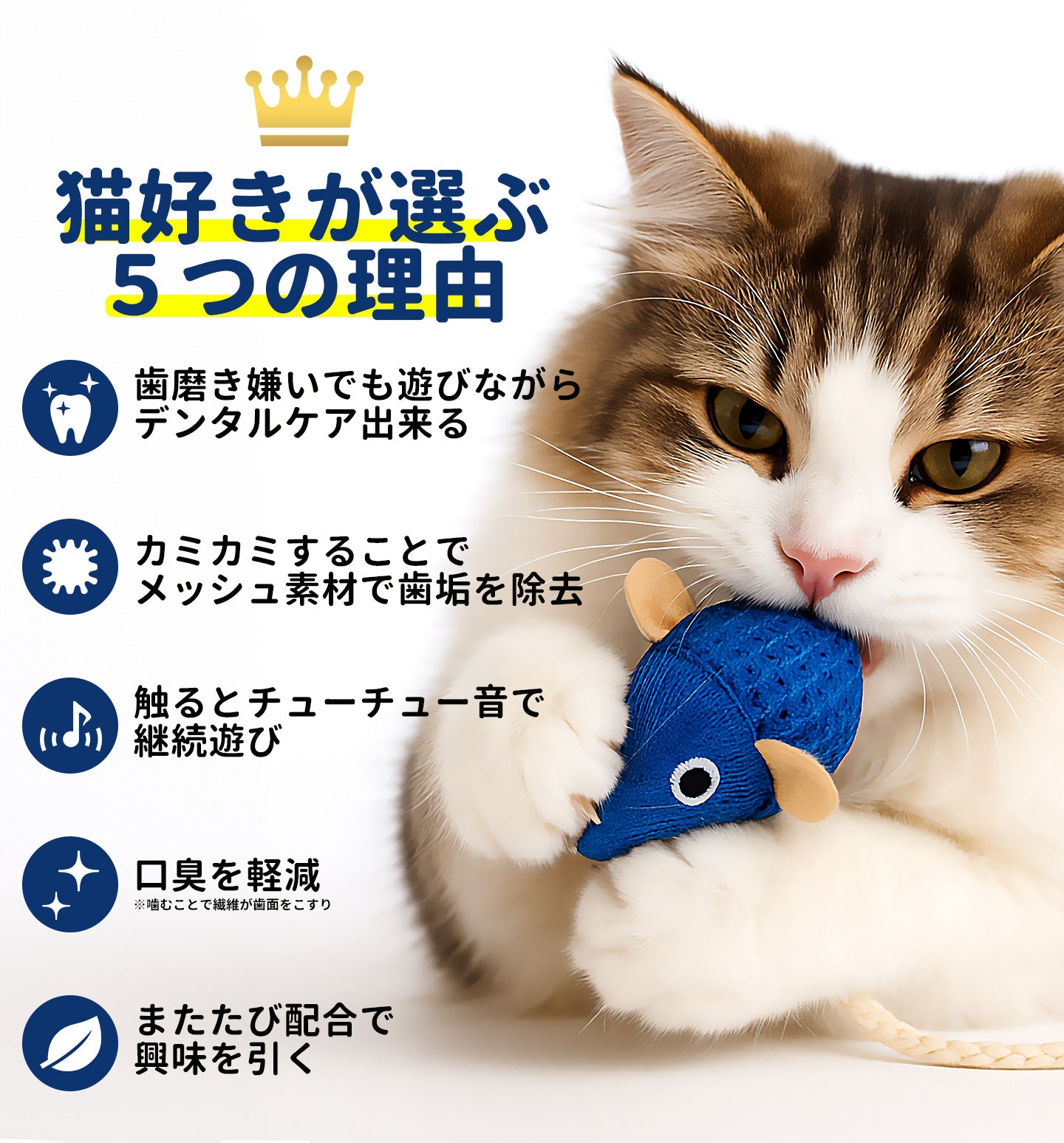 歯磨き嫌いでも遊びながらデンタルケア】猫 おもちゃ 触ると音が鳴る