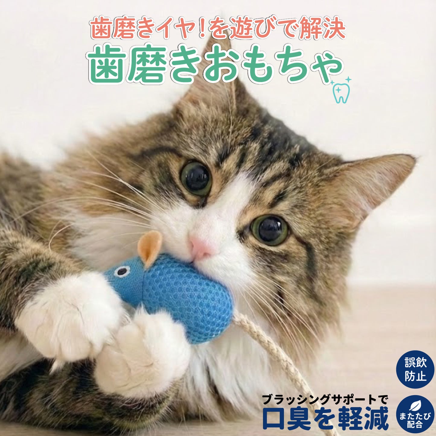 【歯磨きを嫌がる猫ちゃんへ】 猫 おもちゃ 歯磨き またたび入り ねずみ デンタルケア 噛む 口臭 ケア 対策 口腔ケア 一人遊び 歯周病 歯石 歯垢 にゃんこの宿