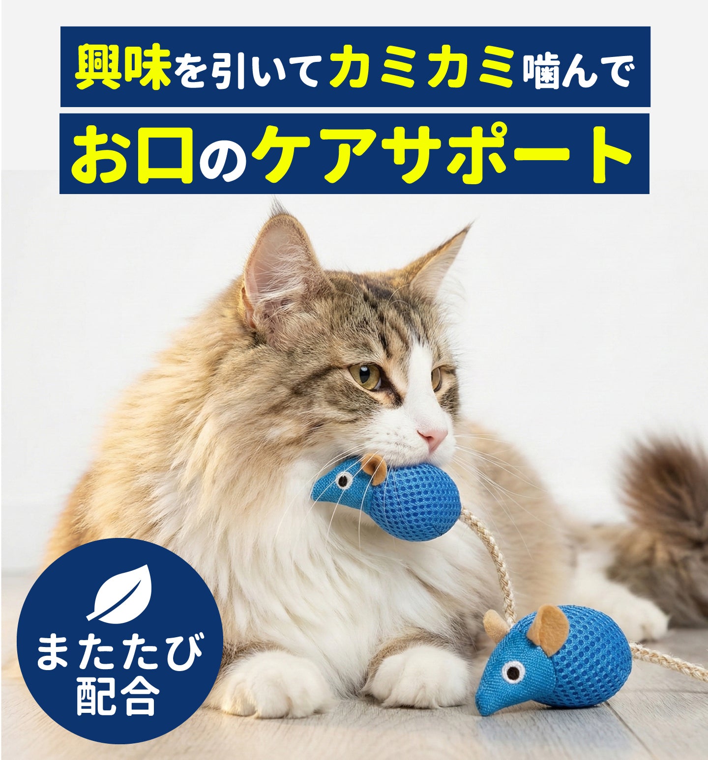 【歯磨きを嫌がる猫ちゃんへ】 猫 おもちゃ 歯磨き またたび入り ねずみ デンタルケア 噛む 口臭 ケア 対策 口腔ケア 一人遊び 歯周病 歯石 歯垢 にゃんこの宿