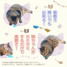 画像をギャラリービューアに読み込む, 【歯磨き嫌いでも遊びながらデンタルケア】猫 おもちゃ ねずみ ひとり遊び 歯磨き (3個入り)
