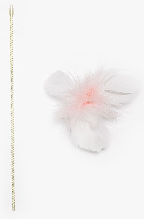 交換用の羽【 獣医師監修 忙しくても遊んであげれる 】ずぼら猫じゃらし おもちゃ 羽 ねこひとり遊び 運動不足