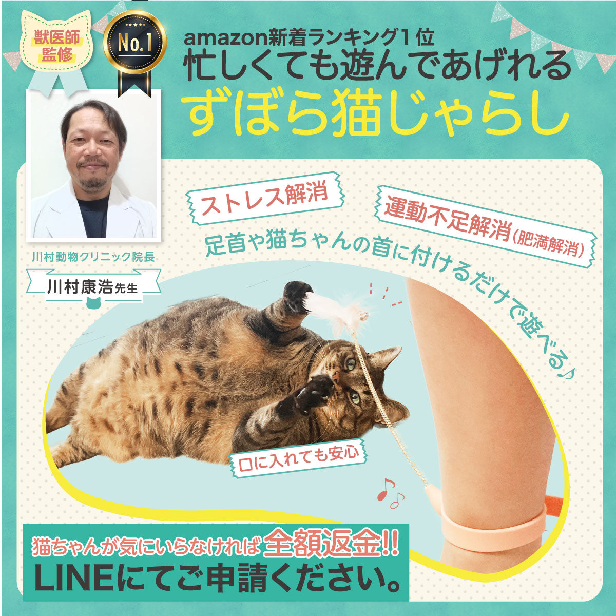 【 獣医師監修 忙しくても遊んであげれる 】ずぼら猫じゃらし おもちゃ 羽 ねこひとり遊び 運動不足