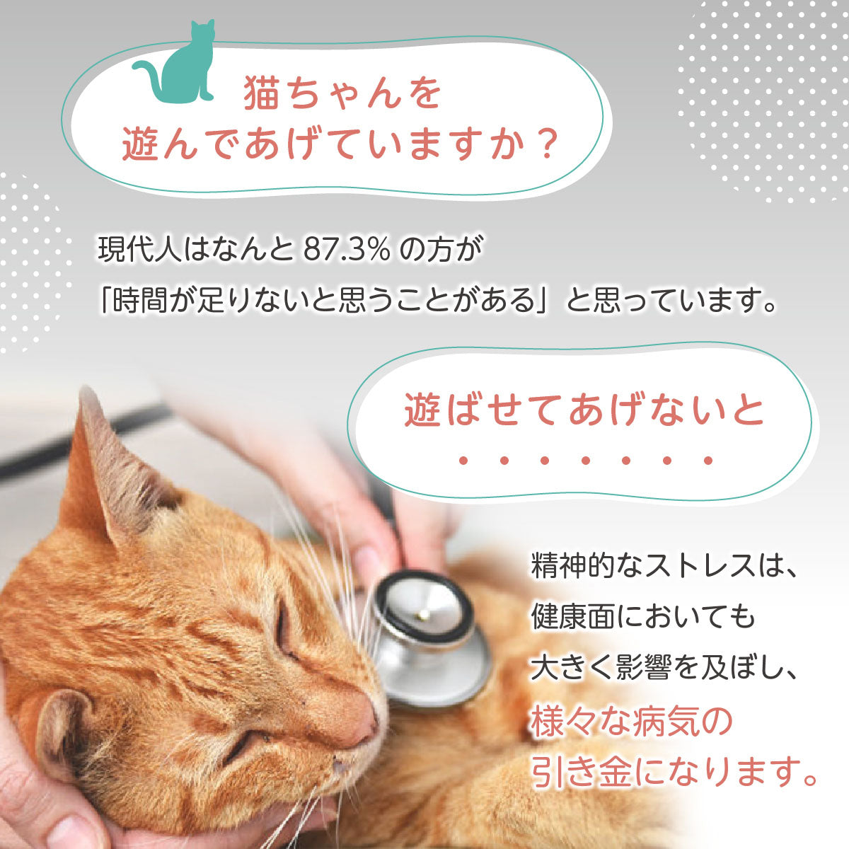 【 獣医師監修 忙しくても遊んであげれる 】ずぼら猫じゃらし おもちゃ 羽 ねこひとり遊び 運動不足