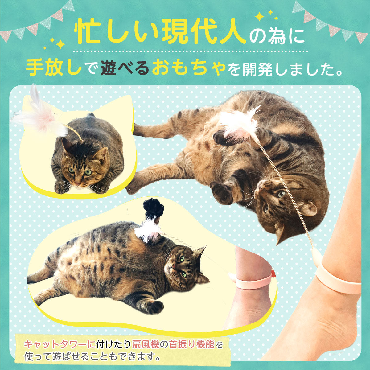 【 獣医師監修 忙しくても遊んであげれる 】ずぼら猫じゃらし おもちゃ 羽 ねこひとり遊び 運動不足