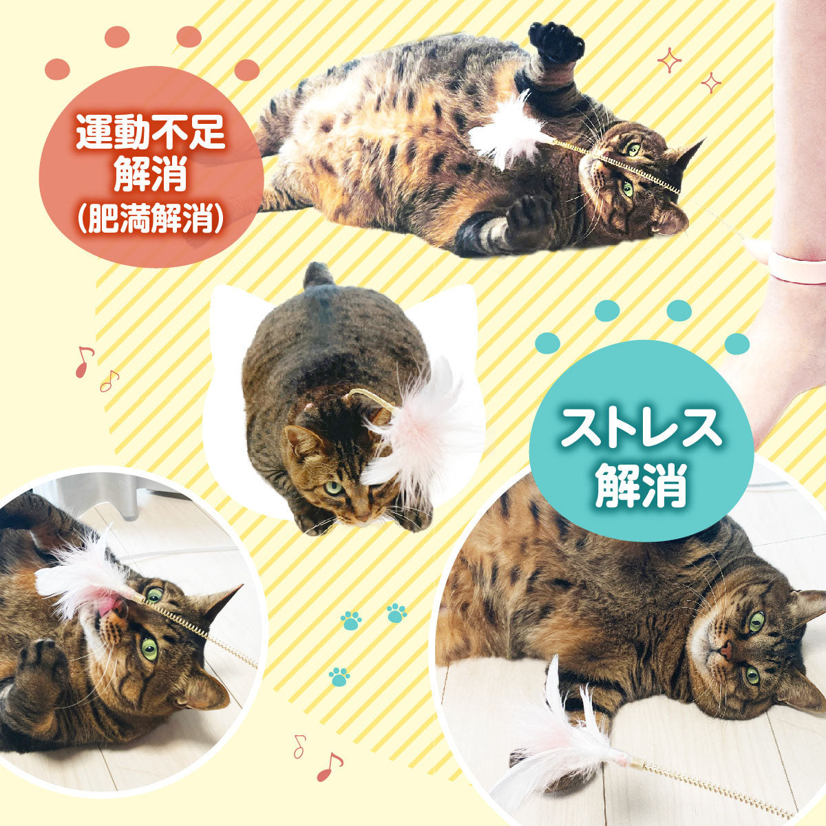 【 獣医師監修 忙しくても遊んであげれる 】ずぼら猫じゃらし おもちゃ 羽 ねこひとり遊び 運動不足